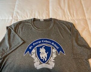 Dri-fit Spirit Shirt